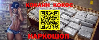 крисы Славгород