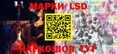 крисы Славгород