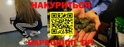 крисы Славгород