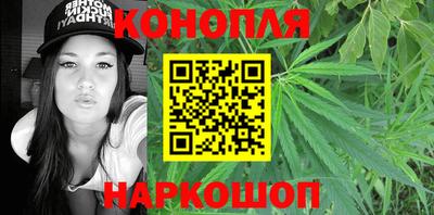 крисы Славгород