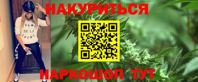 крисы Славгород