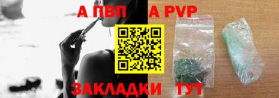 крисы Славгород