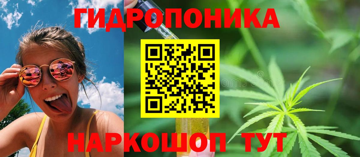 Каннабис конопля Октябрьский